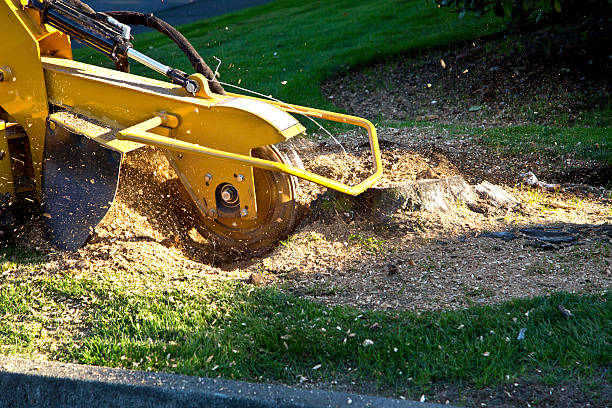 Lawn Irrigation Installation and Maintenance in Audubon, IA